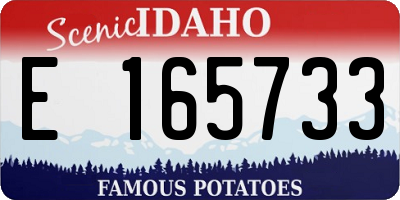 ID license plate E165733