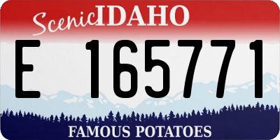 ID license plate E165771