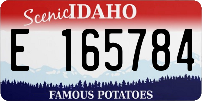 ID license plate E165784