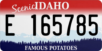 ID license plate E165785