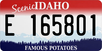 ID license plate E165801