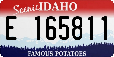 ID license plate E165811