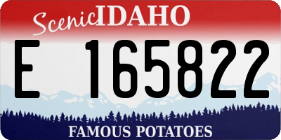 ID license plate E165822