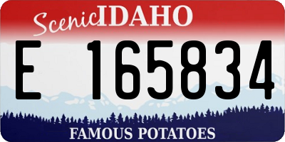 ID license plate E165834