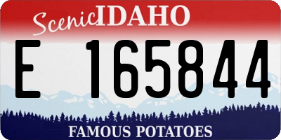 ID license plate E165844