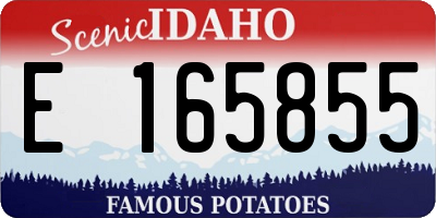 ID license plate E165855