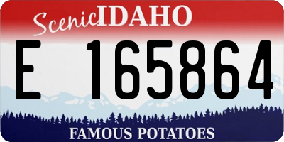 ID license plate E165864
