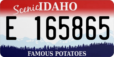 ID license plate E165865