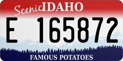 ID license plate E165872
