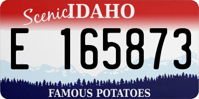 ID license plate E165873