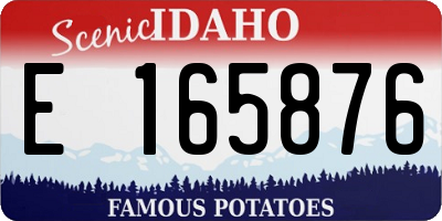 ID license plate E165876