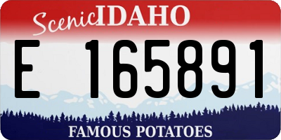 ID license plate E165891