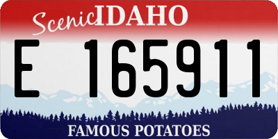 ID license plate E165911