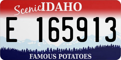 ID license plate E165913