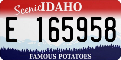 ID license plate E165958