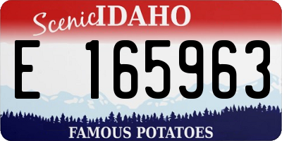 ID license plate E165963