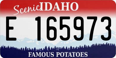 ID license plate E165973