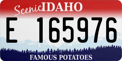 ID license plate E165976