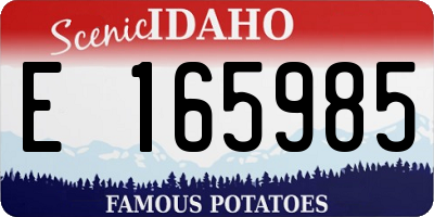 ID license plate E165985