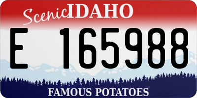 ID license plate E165988