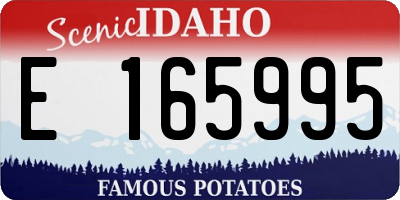 ID license plate E165995