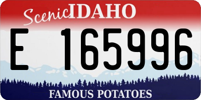 ID license plate E165996