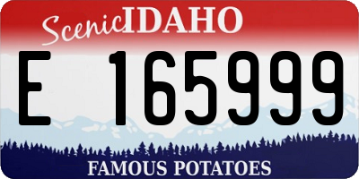 ID license plate E165999