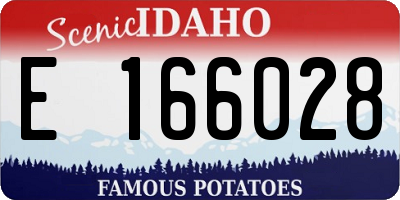 ID license plate E166028