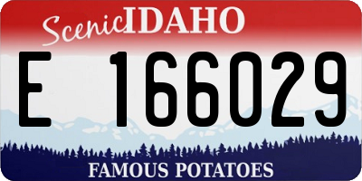 ID license plate E166029