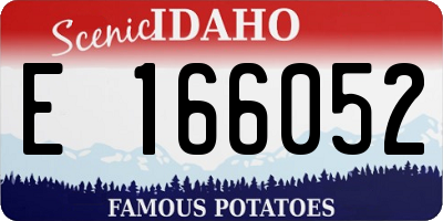 ID license plate E166052
