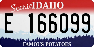 ID license plate E166099