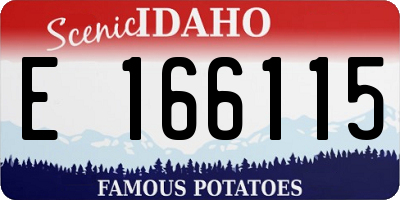 ID license plate E166115