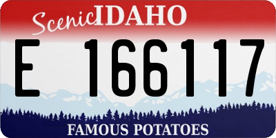ID license plate E166117