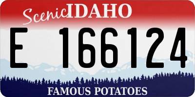 ID license plate E166124