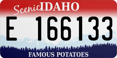 ID license plate E166133