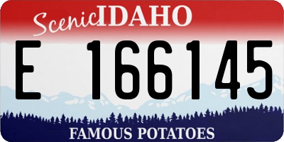 ID license plate E166145