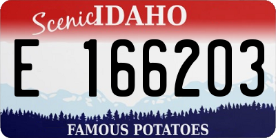 ID license plate E166203