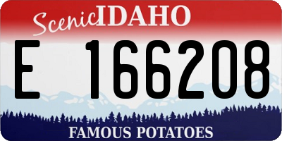 ID license plate E166208