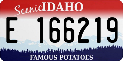ID license plate E166219