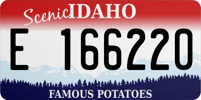 ID license plate E166220