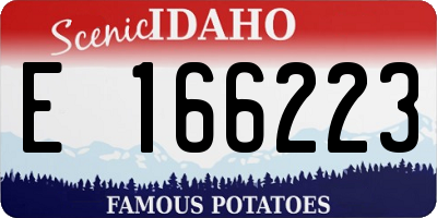 ID license plate E166223