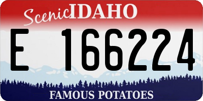 ID license plate E166224