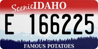 ID license plate E166225