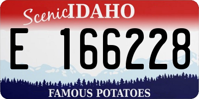 ID license plate E166228