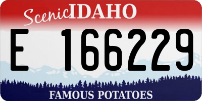 ID license plate E166229