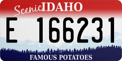 ID license plate E166231