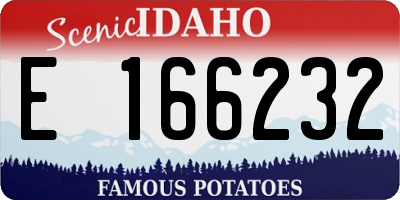 ID license plate E166232