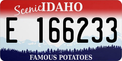 ID license plate E166233