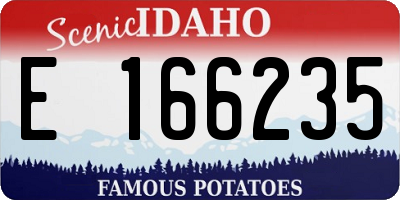 ID license plate E166235