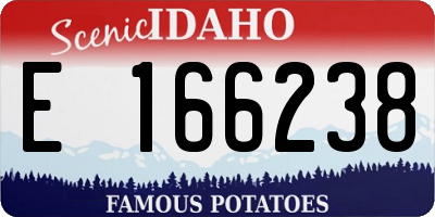 ID license plate E166238